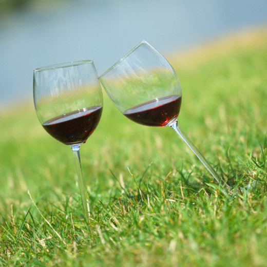 bicchieri-di-vino